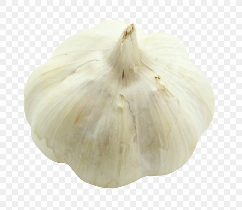 Garlic, PNG, 2116x1836px, Garlic, Food, Ingredient, Vegetable Download Free