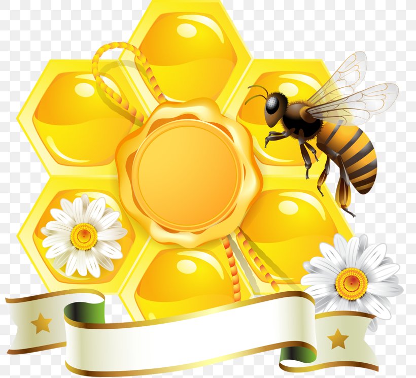 Honey Bee Vector Graphics Honeycomb, PNG, 800x745px, Bee, Bee Pollen, Beehive, Flower, Food Download Free