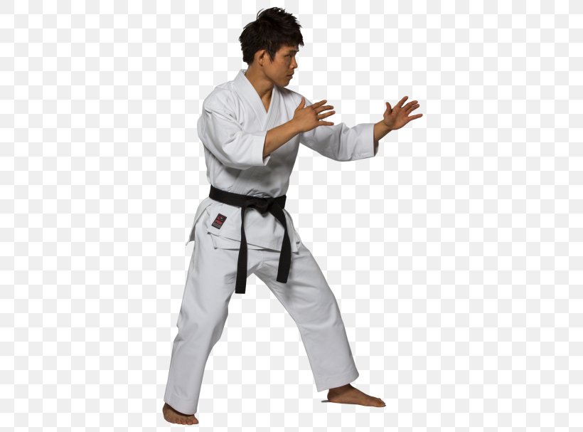 Karate Gi Brazilian Jiu-jitsu Gi Judogi, PNG, 450x607px, Karate Gi, Aikido, Arm, Black Belt, Brazilian Jiujitsu Download Free