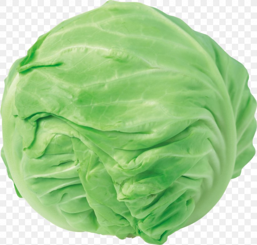 Chinese Cabbage Clip Art Red Cabbage Napa Cabbage, PNG, 2450x2342px, Cabbage, Bok Choy, Cauliflower, Chinese Cabbage, Collard Greens Download Free