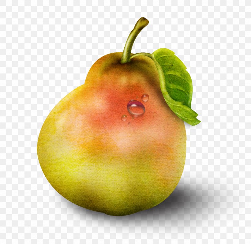 Download Image Resolution, PNG, 1382x1344px, Image Resolution, Accessory Fruit, Apple, Button, Computer Software Download Free