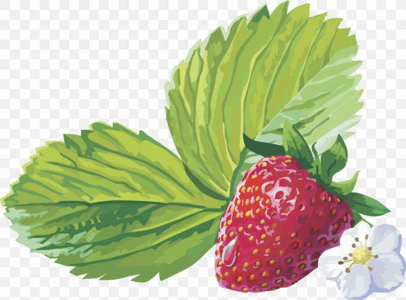 Musk Strawberry Amorodo Clip Art, PNG, 1000x740px, Strawberry, Aedmaasikas, Amorodo, Berry, Blueberry Download Free