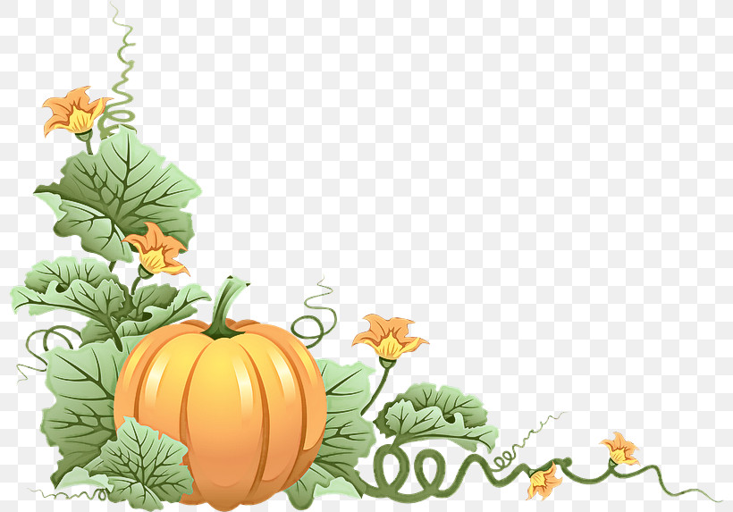 Pumpkin, PNG, 800x573px, Pumpkin, Calabaza, Cucumber Gourd And Melon Family, Cucurbita, Flower Download Free