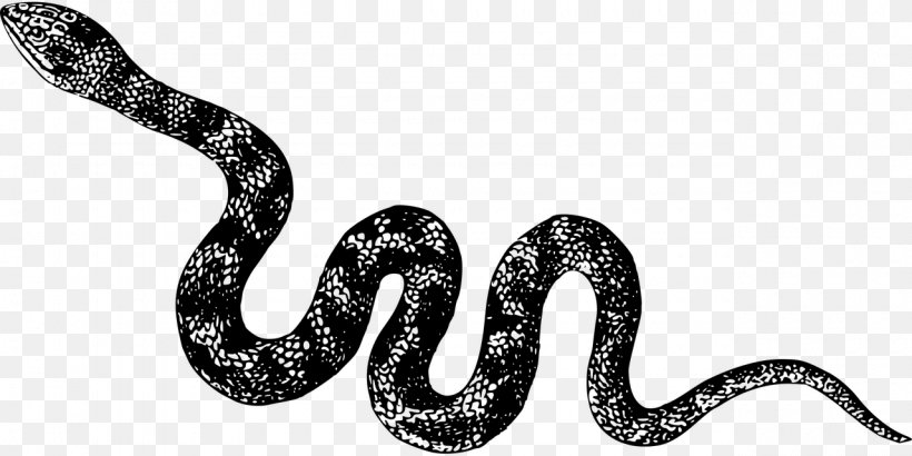 T-shirt Snake Cobra Spreadshirt, PNG, 1280x640px, Tshirt, Animal, Animal Figure, Baby Toddler Onepieces, Black And White Download Free