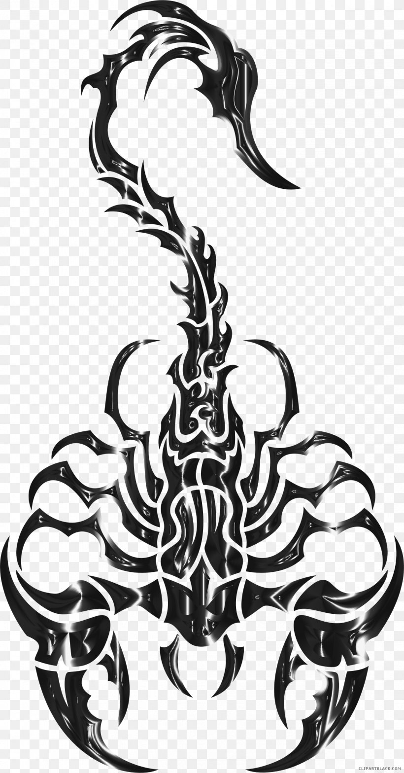 Clip Art Vector Graphics Illustration Image, PNG, 1188x2272px, Scorpion, Art, Black And White, Drawing, Fictional Character Download Free
