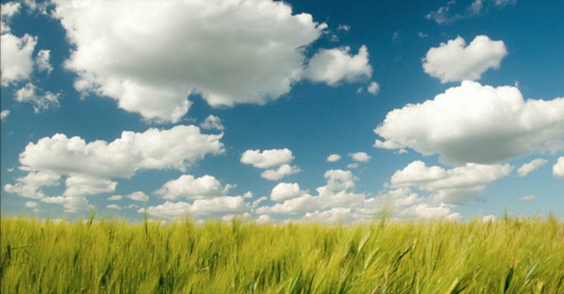 Cloud Computing Climate Model Sky Cloud Storage, PNG, 2400x1254px, Cloud, Agriculture, Atmosphere Of Earth, Barley, Climate Model Download Free