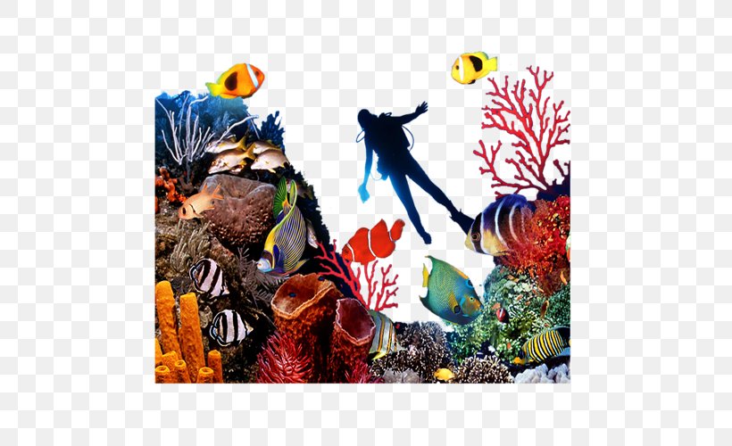 Coral Reef Fish Seabed, PNG, 500x500px, Coral Reef Fish, Aquarium, Aquarium Decor, Coral, Coral Reef Download Free