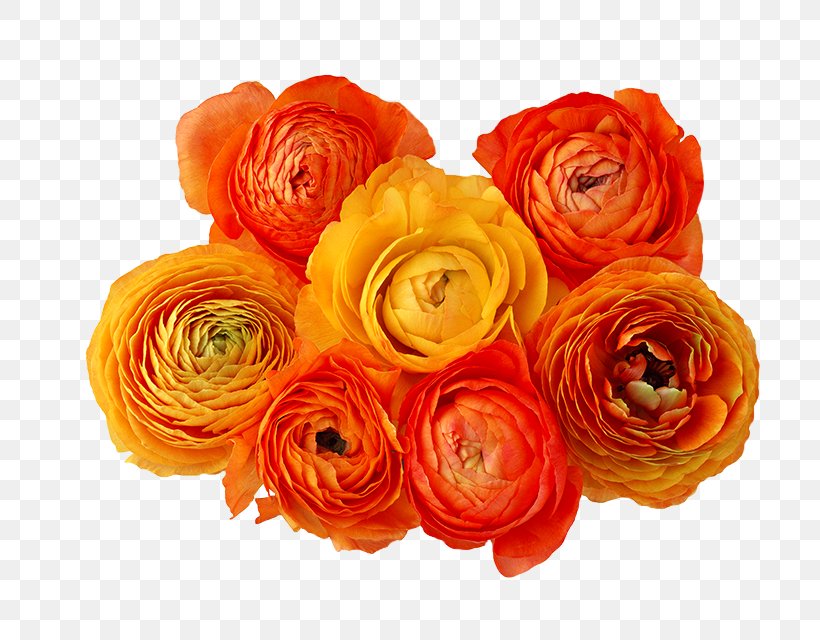 Orange Flower Clip Art, PNG, 700x640px, Orange, Artificial Flower, Color, Cut Flowers, Floral Design Download Free