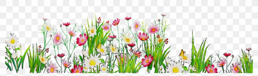 Tulip Desktop Wallpaper Plant Stem Grasses Computer, PNG, 2419x721px, Tulip, Botany, Computer, Cut Flowers, Floral Design Download Free