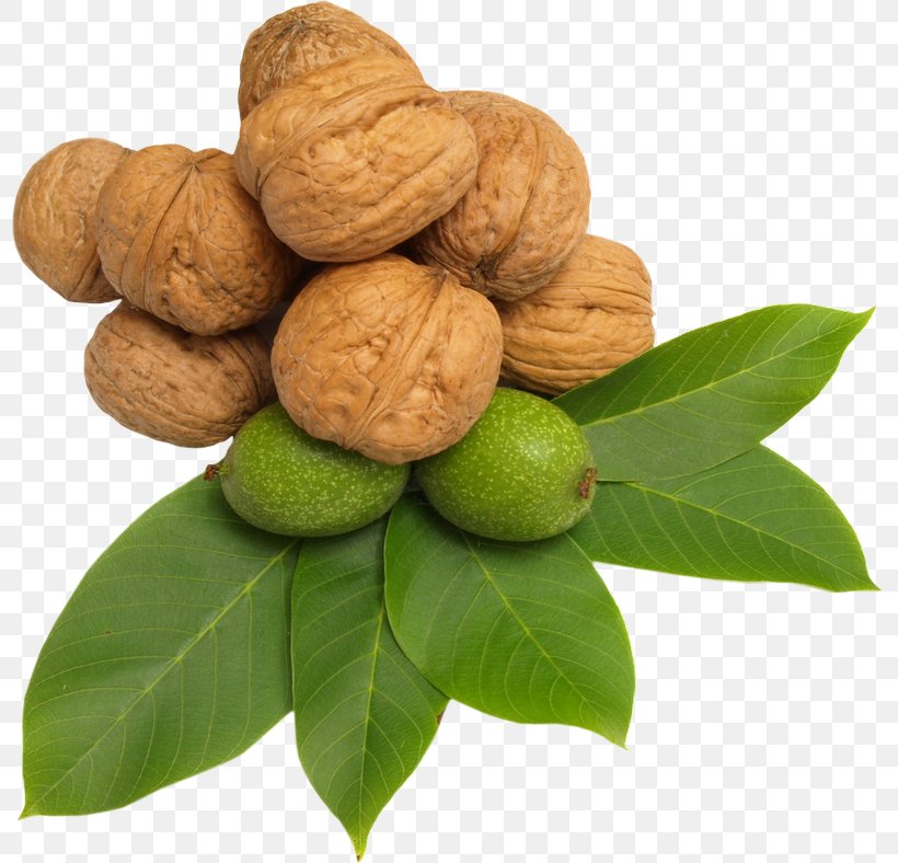 Walnut Nuts Hazelnut Clip Art, PNG, 800x788px, Nut, Almond, Bread, Food, Fruit Download Free