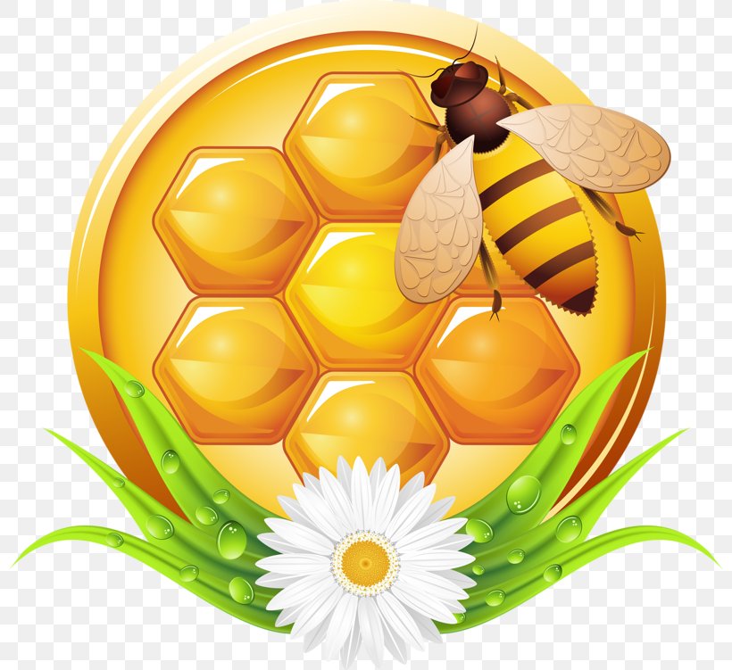 Bee Honey Photography Illustration, PNG, 800x751px, Bee, Easter Egg, Flower, Food, Fruit Download Free