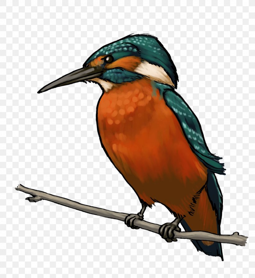 Kingfisher Drawing Bird Clip Art, PNG, 1107x1206px, Kingfisher, Beak, Bird, Cartoon, Copyright Download Free