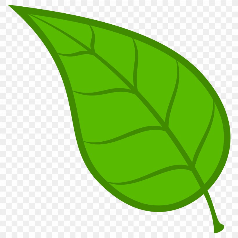 Leaf Green Clip Art, PNG, 3600x3600px, Leaf, Blog, Copyright, Food, Free Content Download Free