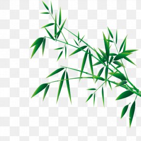 Bamboo - Bamboo Festival Clip Art PNG