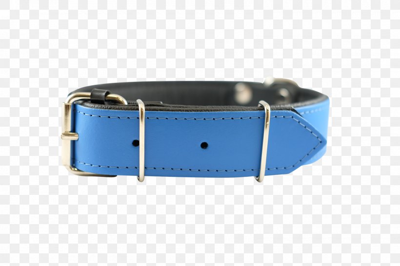 Dog Collar Watch Strap, PNG, 1600x1067px, Dog, Belt, Belt Buckle, Belt Buckles, Blue Download Free