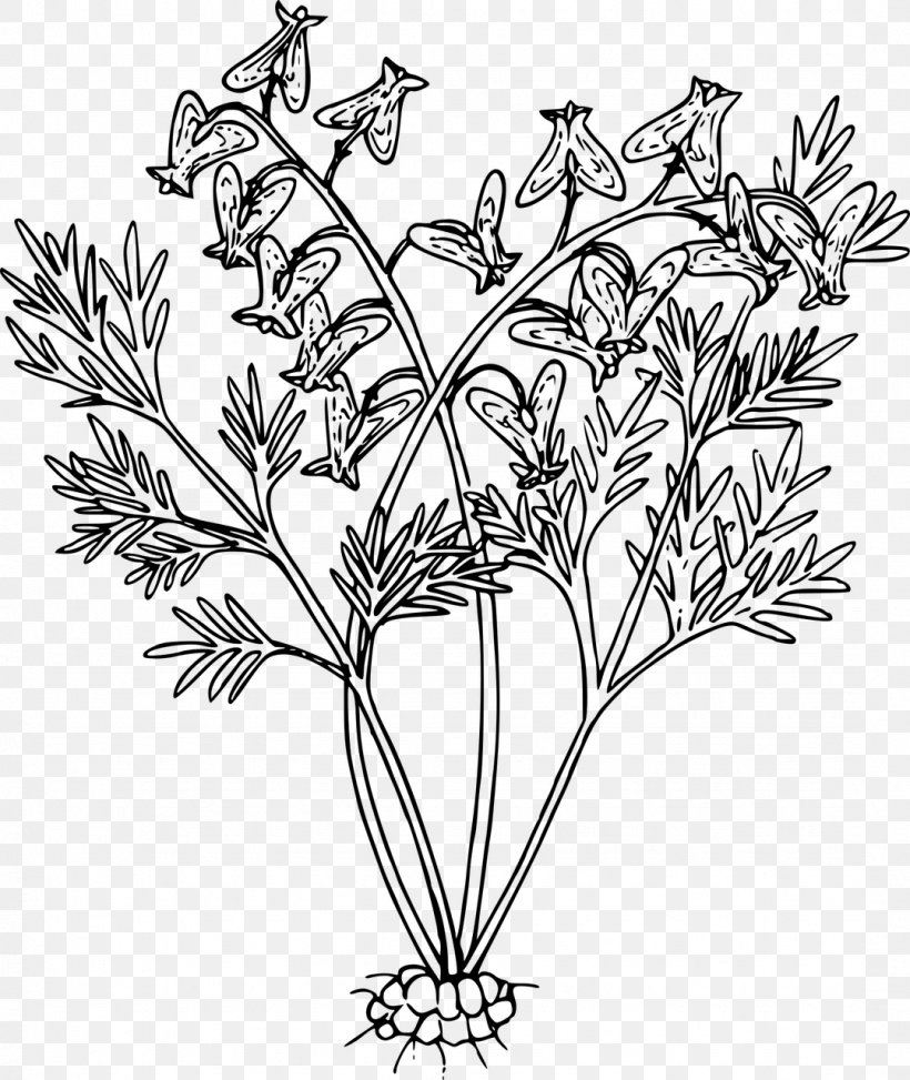Line Art Black And White Flower Drawing Floral Design, PNG, 1078x1280px, Line Art, Art, Black And White, Branch, Cut Flowers Download Free