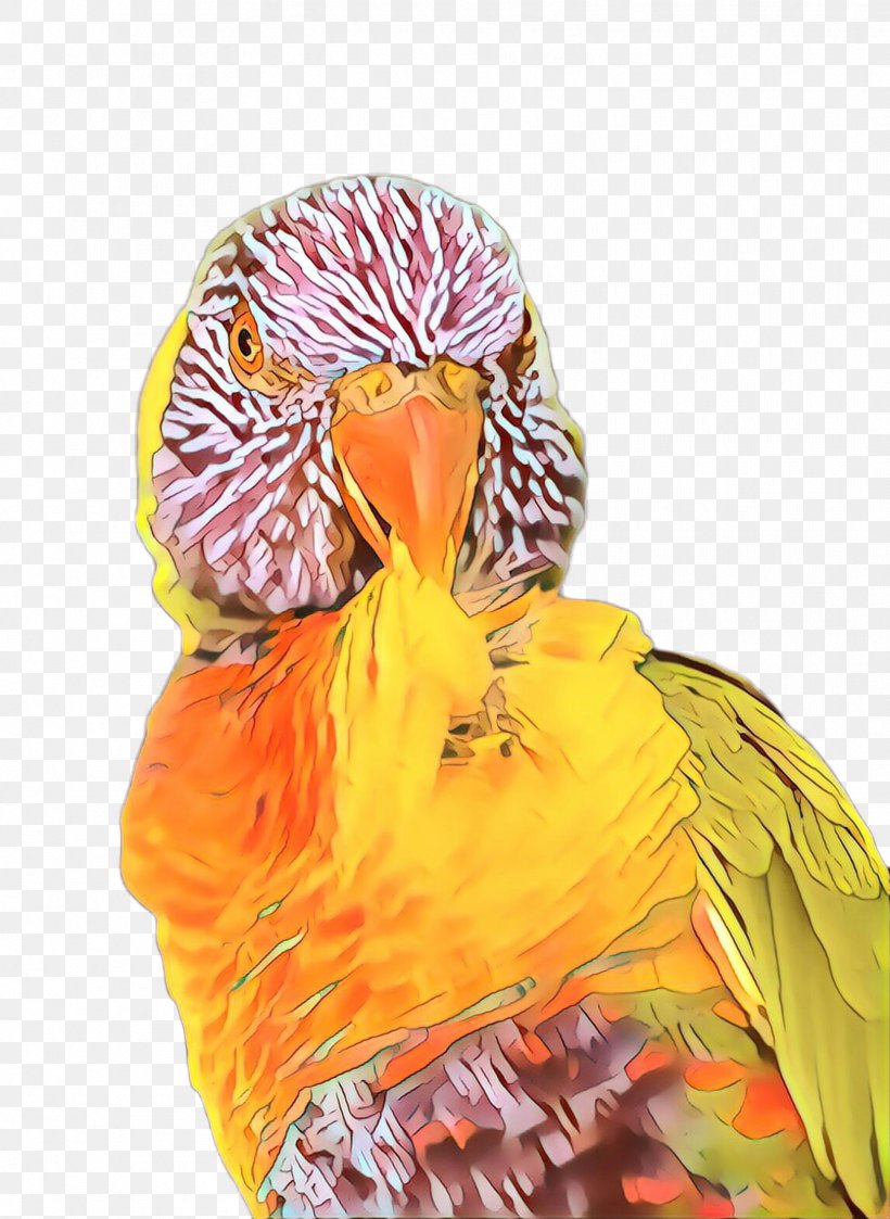 Orange, PNG, 1708x2340px, Cartoon, Beak, Bird, Budgie, Macaw Download Free