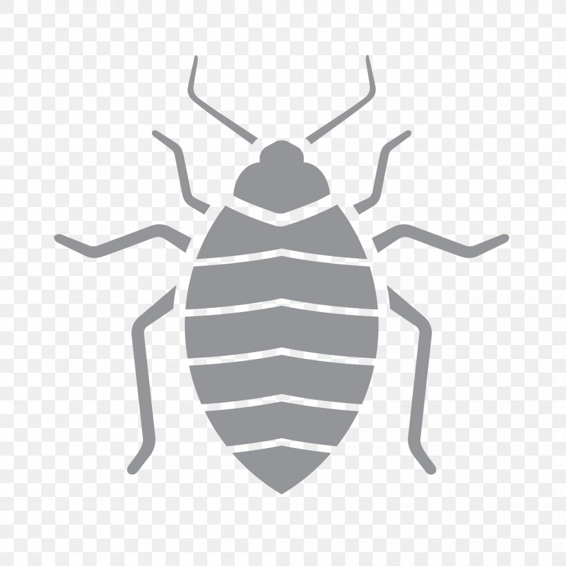 Pest Control Insect Exterminator Termite, PNG, 2083x2083px, 1st Pest Control, Pest Control, Arthropod, Bed, Bed Bug Download Free
