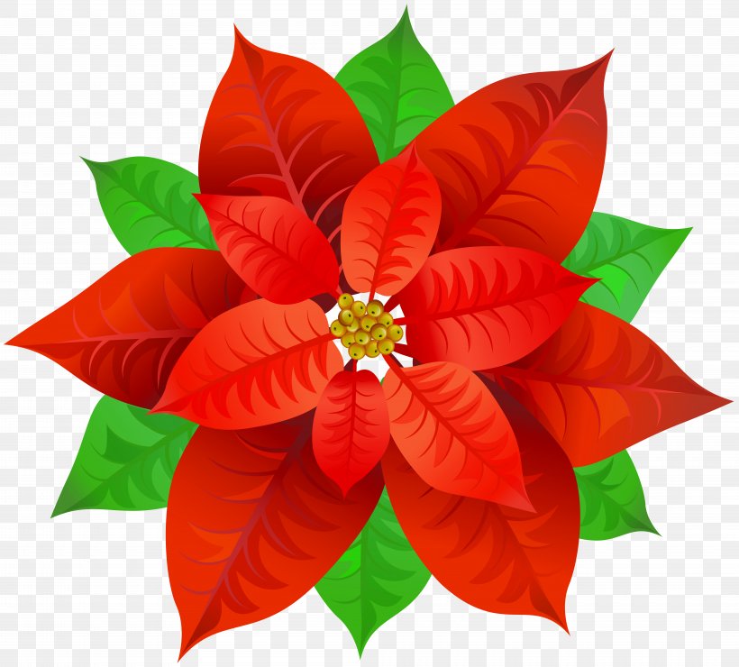 Poinsettia Bowl Clip Art, PNG, 8000x7227px, Poinsettia, Christmas, Flower, Garden Centre, Joel Roberts Poinsett Download Free