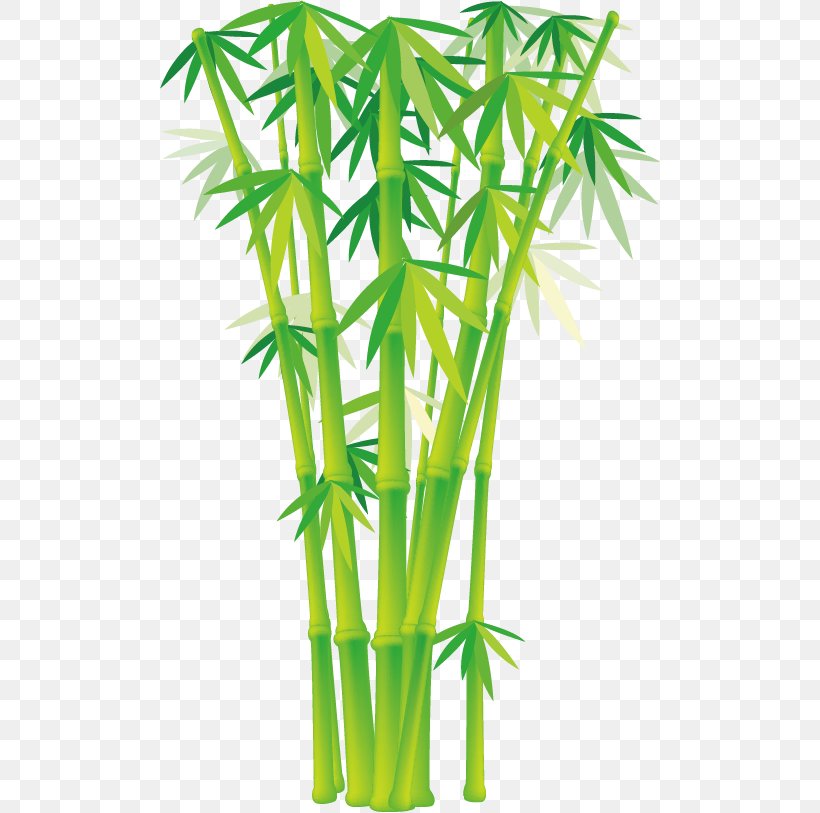Bamboo Euclidean Vector Clip Art, PNG, 500x813px, Bamboo, Drawing, Flowerpot, Grass, Grass Family Download Free