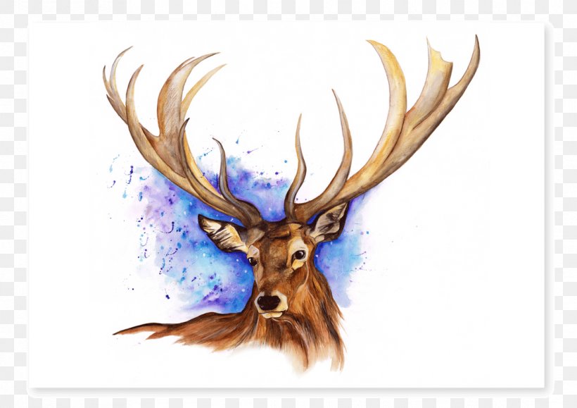 Elk Reindeer Antler Watercolor Painting, PNG, 1114x787px, Elk, Animal, Antler, Art, Deer Download Free