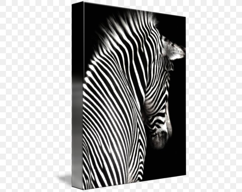 Zebra Sticker Printing Wall Decal Mural, PNG, 452x650px, Zebra, Black, Black And White, Coloring Book, Decorative Arts Download Free