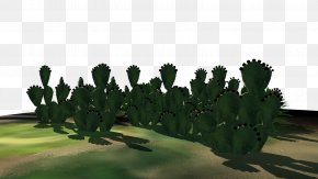 Barbary Fig Biome Tree PNG
