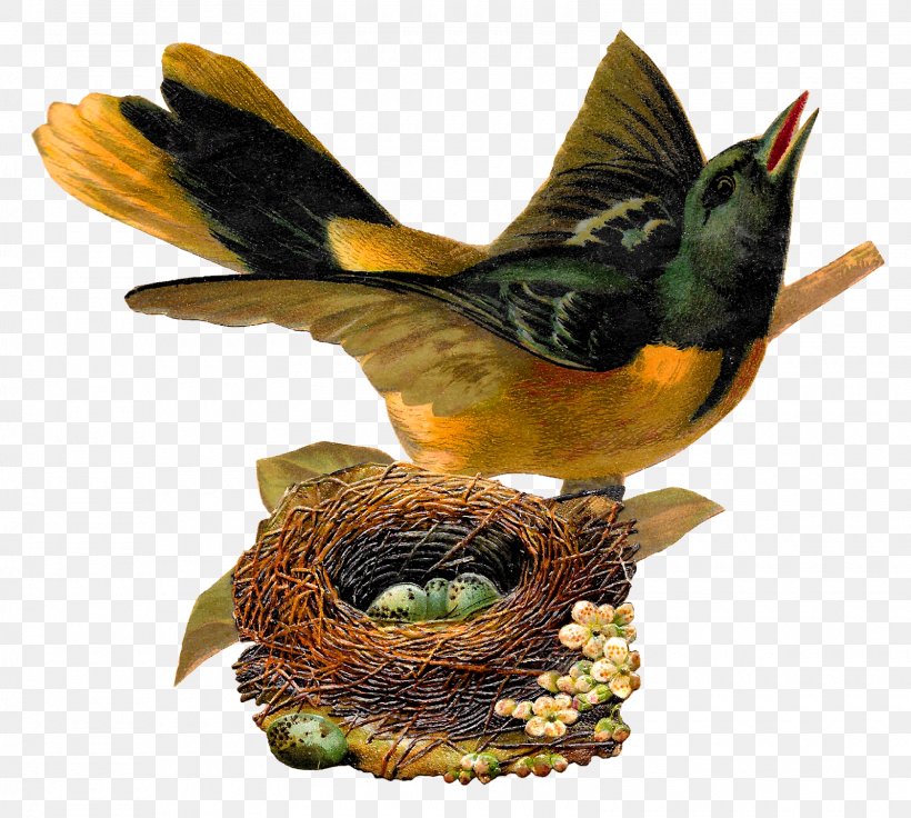 Bird Nest Art Clip Art, PNG, 1600x1437px, Bird, Art, Baltimore Oriole, Beak, Bird Nest Download Free