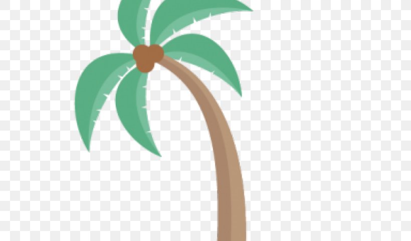 Clip Art Palm Trees Free Content, PNG, 640x480px, Palm Trees, Arecales, Art, Botany, Coconut Download Free