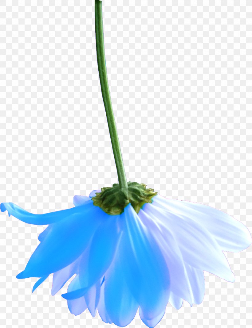 Cobalt Blue Flower Petal Plant Stem, PNG, 920x1200px, Blue, Cobalt, Cobalt Blue, Flower, Flowering Plant Download Free
