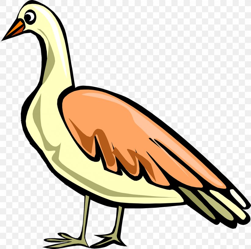 Duck Goose Water Bird Anatidae, PNG, 1200x1191px, Duck, Anatidae, Animal, Artwork, Beak Download Free