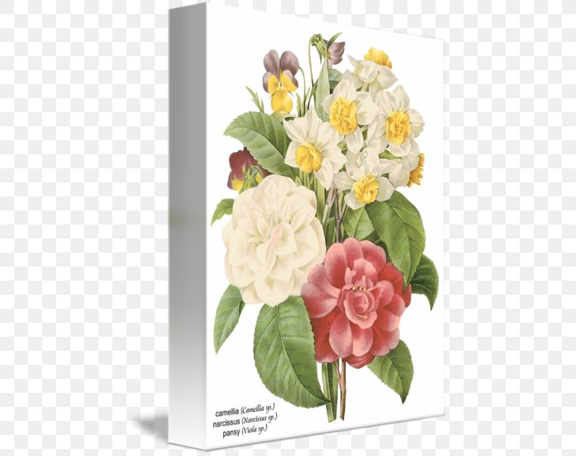 Flower Botanical Illustration Botany, PNG, 457x650px, Flower, Artificial Flower, Botanical Illustration, Botany, Cut Flowers Download Free