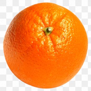Orange Fruit - Juice Lemon Tangerine Grapefruit PNG