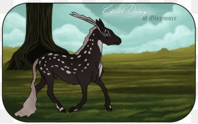 Rut Prints - Mustang Color Mare Stallion Giraffe PNG