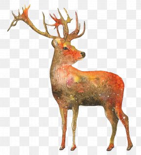 Deer - Reindeer Gift Art PNG
