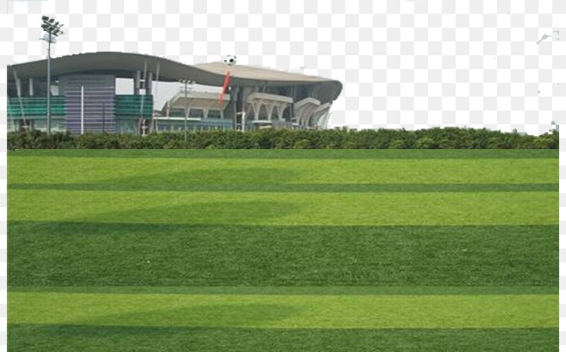 Artificial Turf Lawn Football Pitch, PNG, 800x510px, Artificial Turf, Energy, Field, Football, Football Pitch Download Free