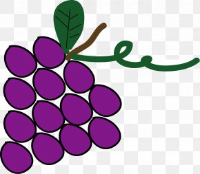 Grape - Grape Leaf Petal Line Clip Art PNG