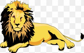African Lion Cliparts - Lion Cougar Clip Art PNG
