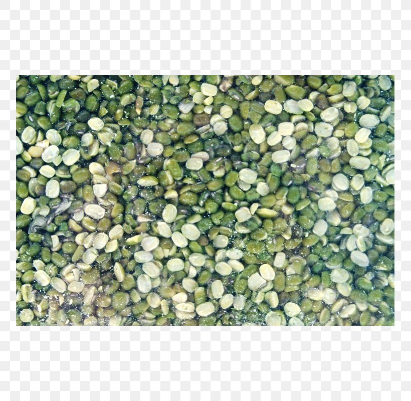 Pebble Gravel, PNG, 800x800px, Pebble, Grass, Gravel, Green, Groundcover Download Free