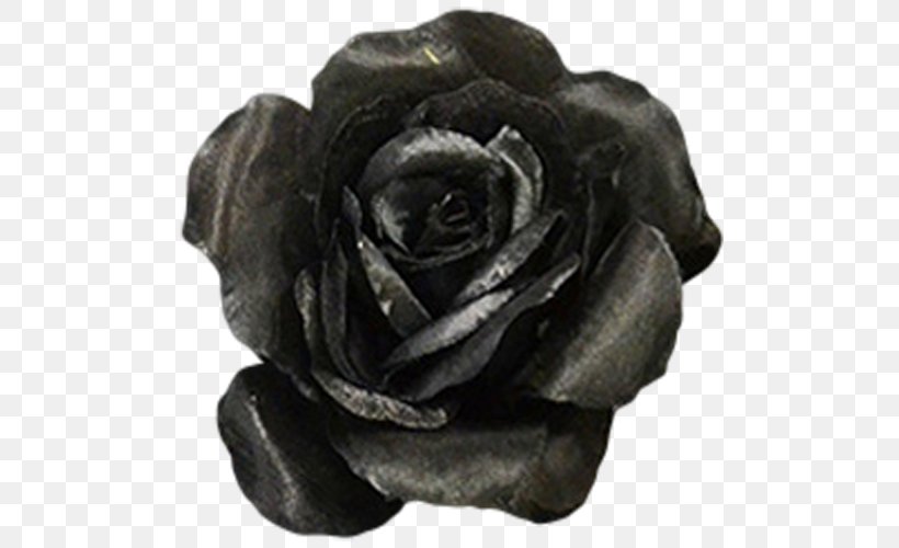 Rose Flower Black Color Ivory, PNG, 500x500px, Rose, Black, Blue, Color, Coral Download Free