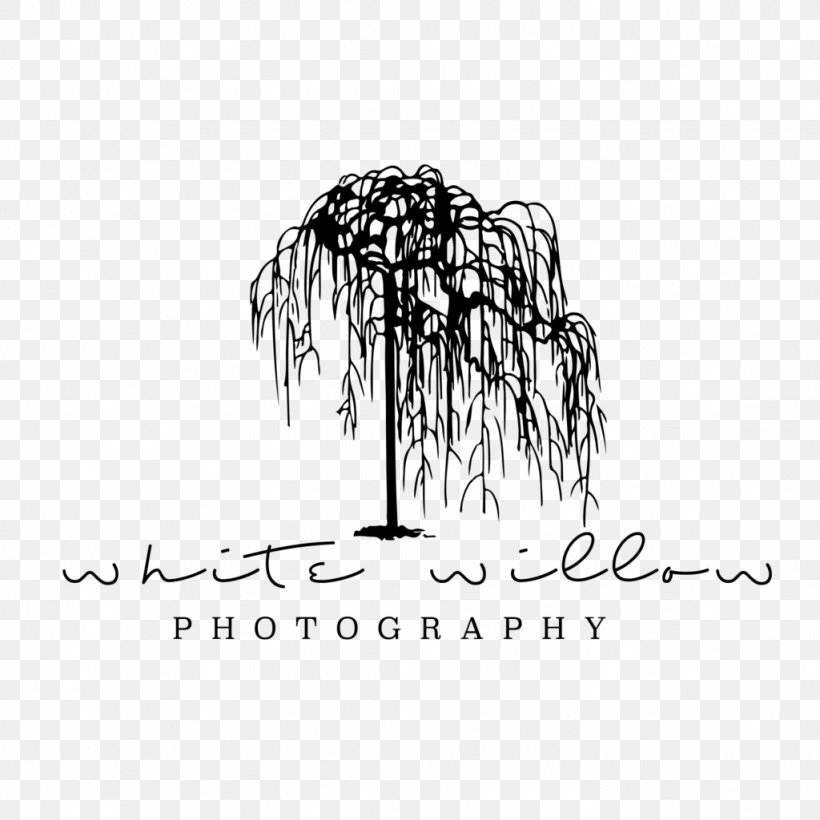 Salix Alba Graphic Design Logo Tree Photography, PNG, 1024x1024px, Salix Alba, Artwork, Black And White, Brand, Calligraphy Download Free