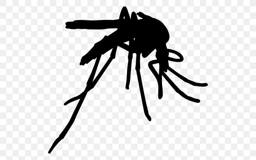 Yellow Fever Mosquito Insect Mosquito Control Vector, PNG, 512x512px, Mosquito, Animal, Arthropod, Black, Black And White Download Free