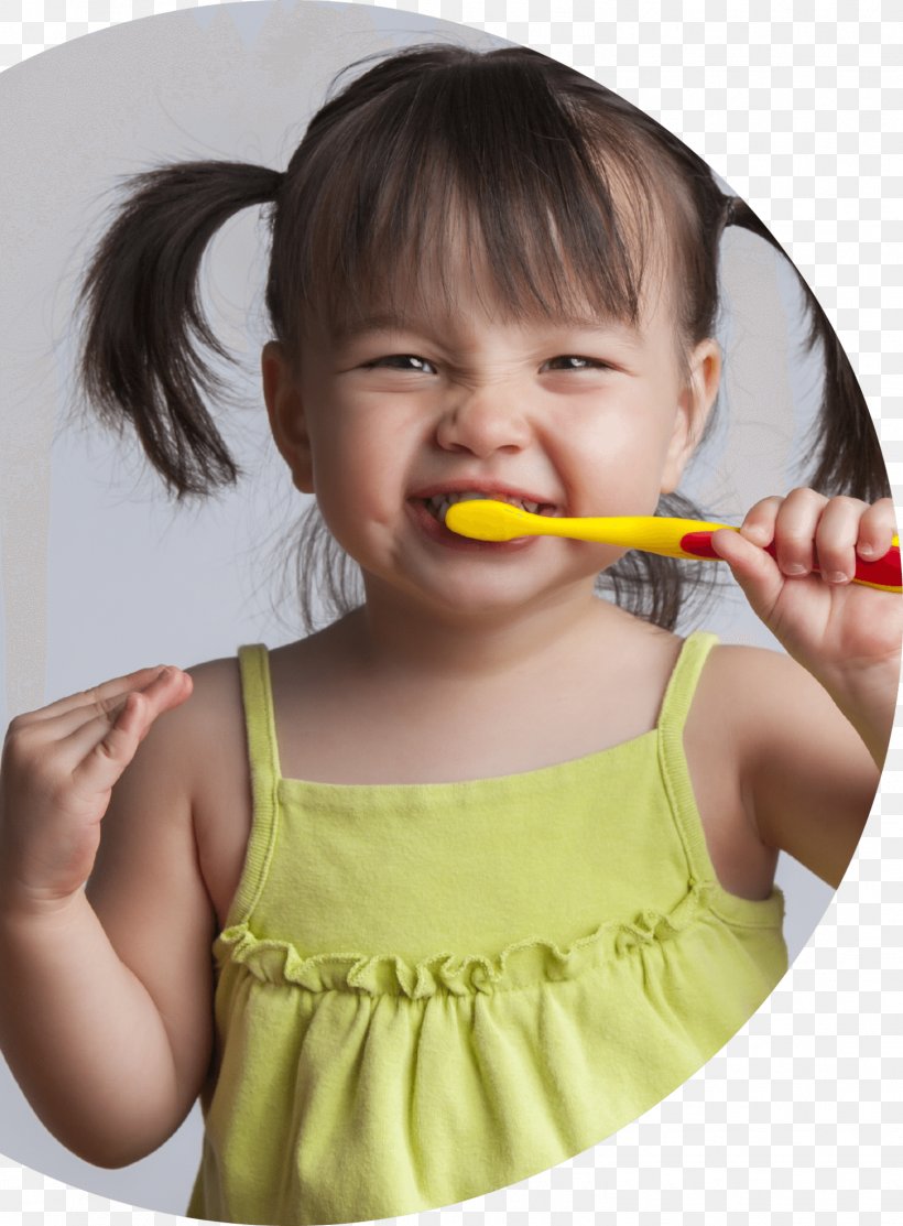 Tooth Brushing Pediatric Dentistry Child, PNG, 1508x2048px, Tooth Brushing, American Dental Association, Brush, Child, Dental Public Health Download Free