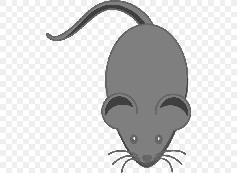 Computer Mouse Laboratory Mouse Clip Art, PNG, 504x599px, Mouse, Audio, Carnivoran, Cartoon, Cat Like Mammal Download Free