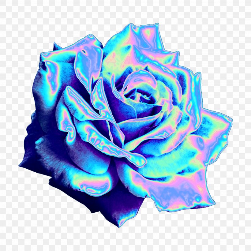 Garden Roses Blue Rose Sticker PicsArt Photo Studio Image, PNG, 2896x2896px, Garden Roses, Aqua, Blue, Blue Rose, Cobalt Blue Download Free