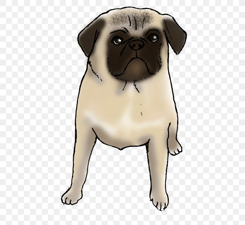 Pug Puppy Dog Breed Companion Dog Toy Dog, PNG, 607x754px, Pug, Ancient Dog Breeds, Breed, Canidae, Carnivore Download Free