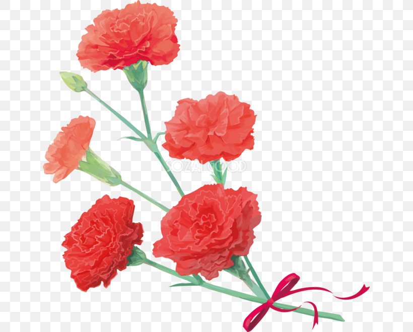 Carnation Japan Women's Baseball League 埼玉アストライア Cut Flowers, PNG, 649x660px, Carnation, Artificial Flower, Cut Flowers, Dianthus, Floral Design Download Free