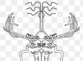Journal Of Neurosurgery Neurology Cerebrovascular Disease Clip Art PNG