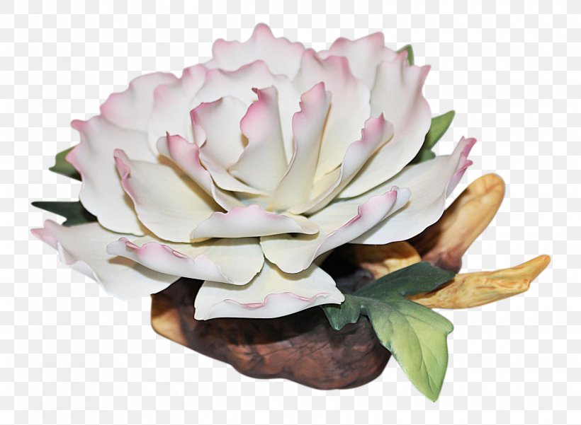 Pink M Flowerpot Flowering Plant Plants, PNG, 1523x1118px, Pink M, Flower, Flowering Plant, Flowerpot, Petal Download Free