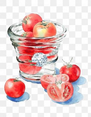 Watercolor Tomato - Watercolor Painting Drawing Art Illustration PNG